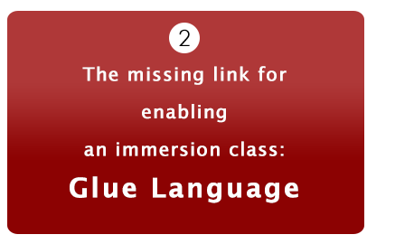 Immersion class missing link